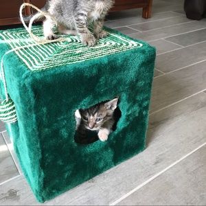 Meet your Posher, Kimberly